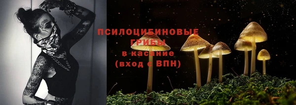 2c-b Алзамай