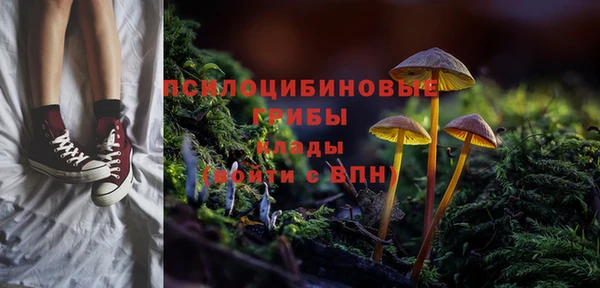 2c-b Алзамай