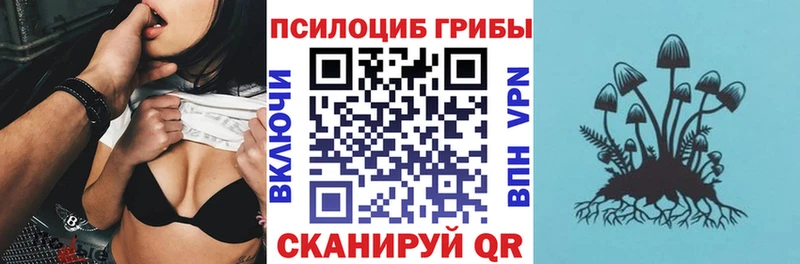 Псилоцибиновые грибы Psilocybe  Хвалынск 