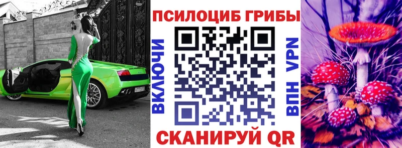 Галлюциногенные грибы Psilocybe Хвалынск